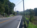 街道と思われていた国道１６３号