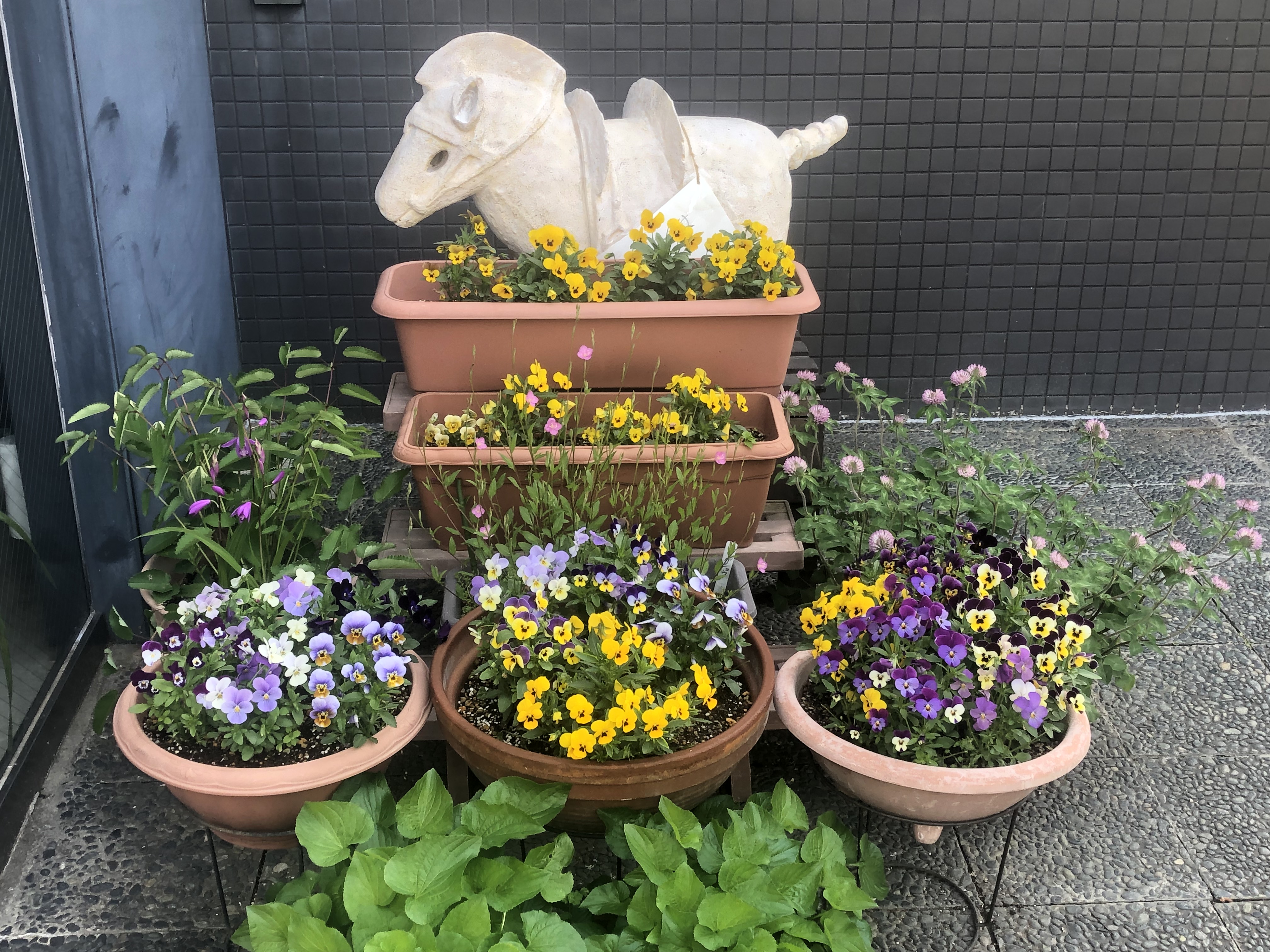 ☆【甲府市史 資料編・通史編】5巻セット/山梨県・甲府市・郷土